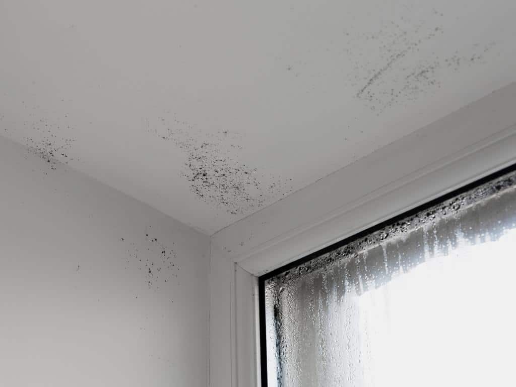 Cómo quitar la humedad de la pared de tus habitaciones